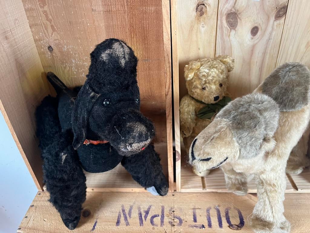 Drie pluche Steiff dieren, Ophalen of Verzenden