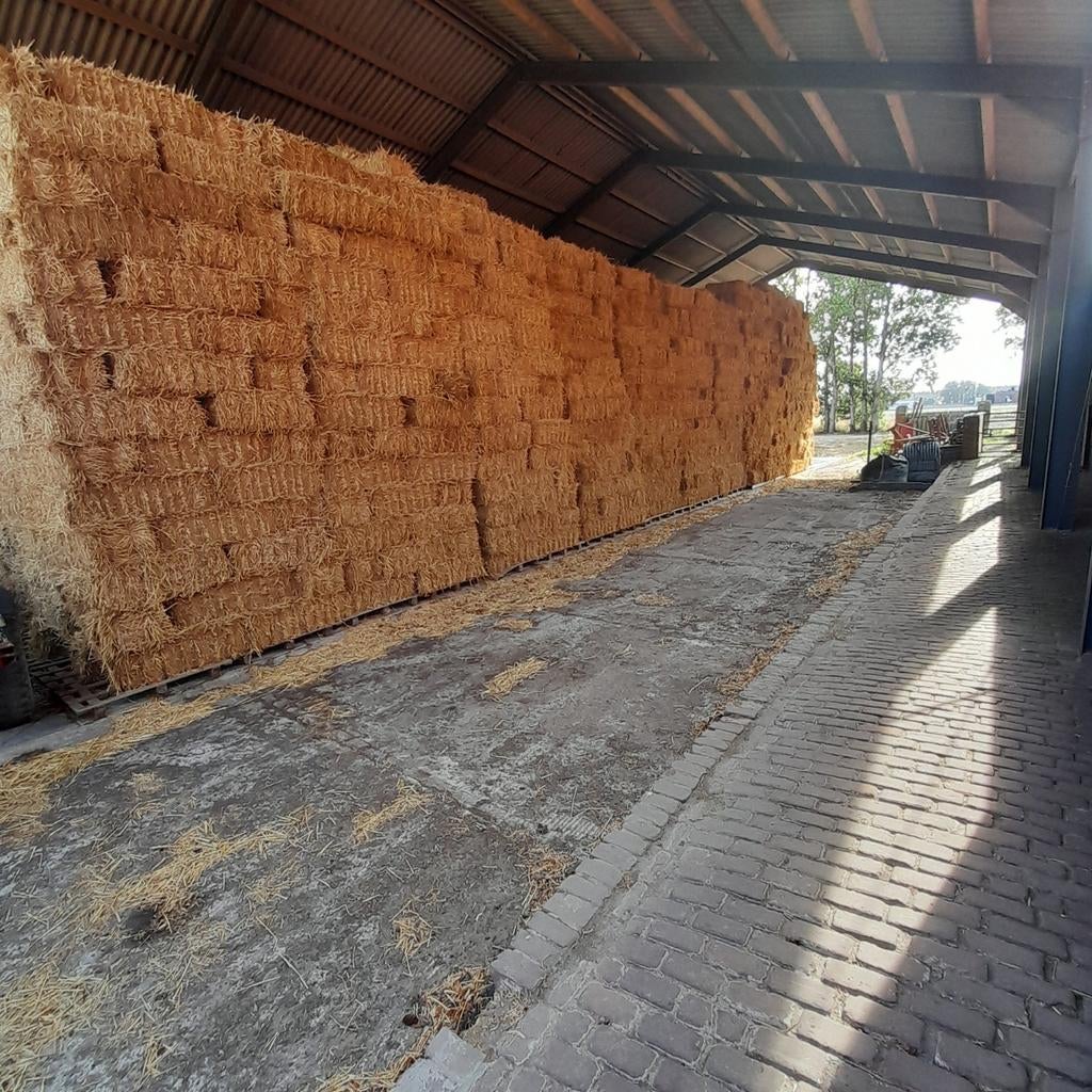 10000 kleine pakken tarwestro en haverstro, Ophalen of Verzenden, Vee