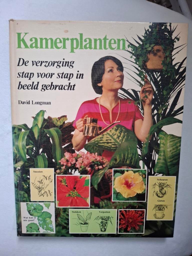 David Longman - Kamerplanten de verzorging stap voor stap, Ophalen of Verzenden, Gelezen, David Longman, Tuinieren en Tuinplanten