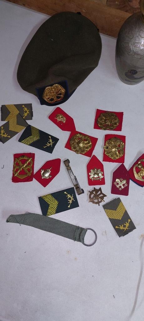 Militaria verzameling: emblemen, baretten en insignes, Verzamelen, Militaria | Algemeen, Ophalen of Verzenden