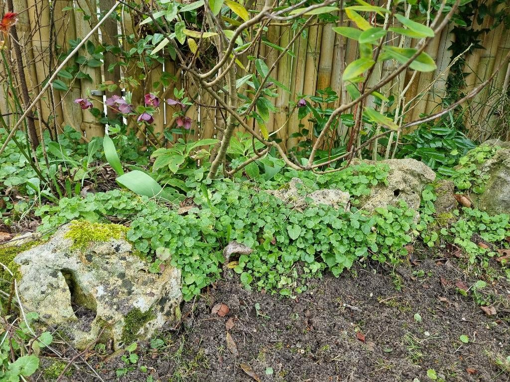 Rotsblokken, Tuin en Terras, Grind, Keien en Split, Ophalen, Gebruikt, Bruin, Overige typen