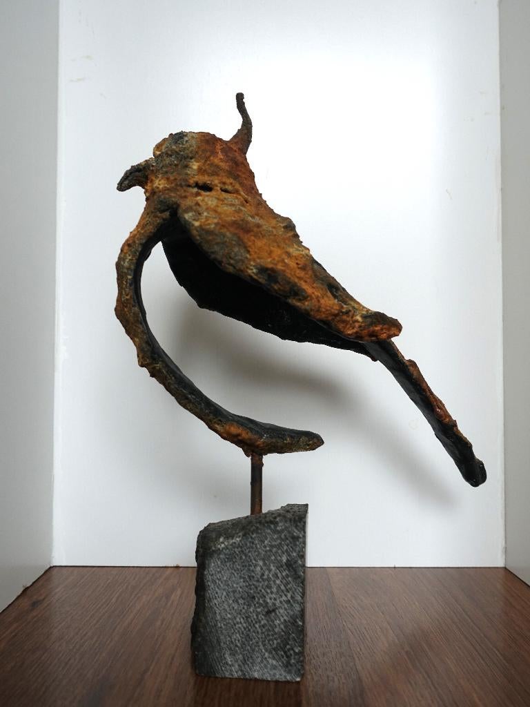 Beeld kievit, Ophalen of Verzenden