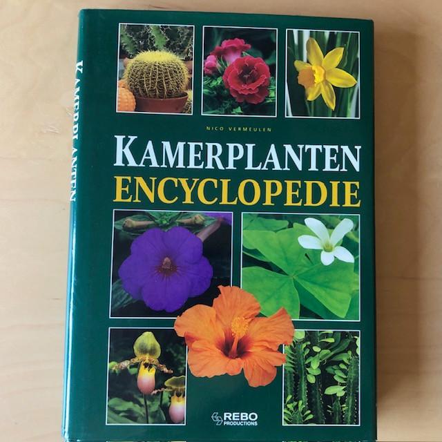Nico Vermeulen - Kuipplanten en Kamerplanten encyclopedie, Ophalen of Verzenden, Zo goed als nieuw, Interieur en Design