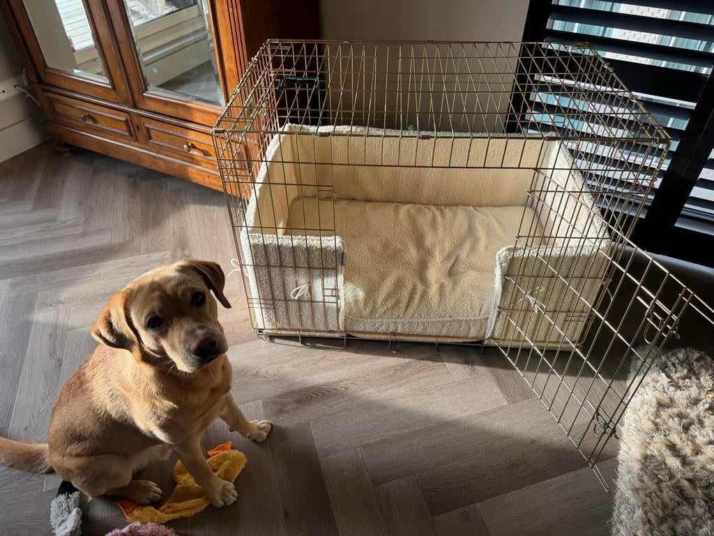 Bench goudkleur van Lords&Labradors, Ophalen, Zo goed als nieuw