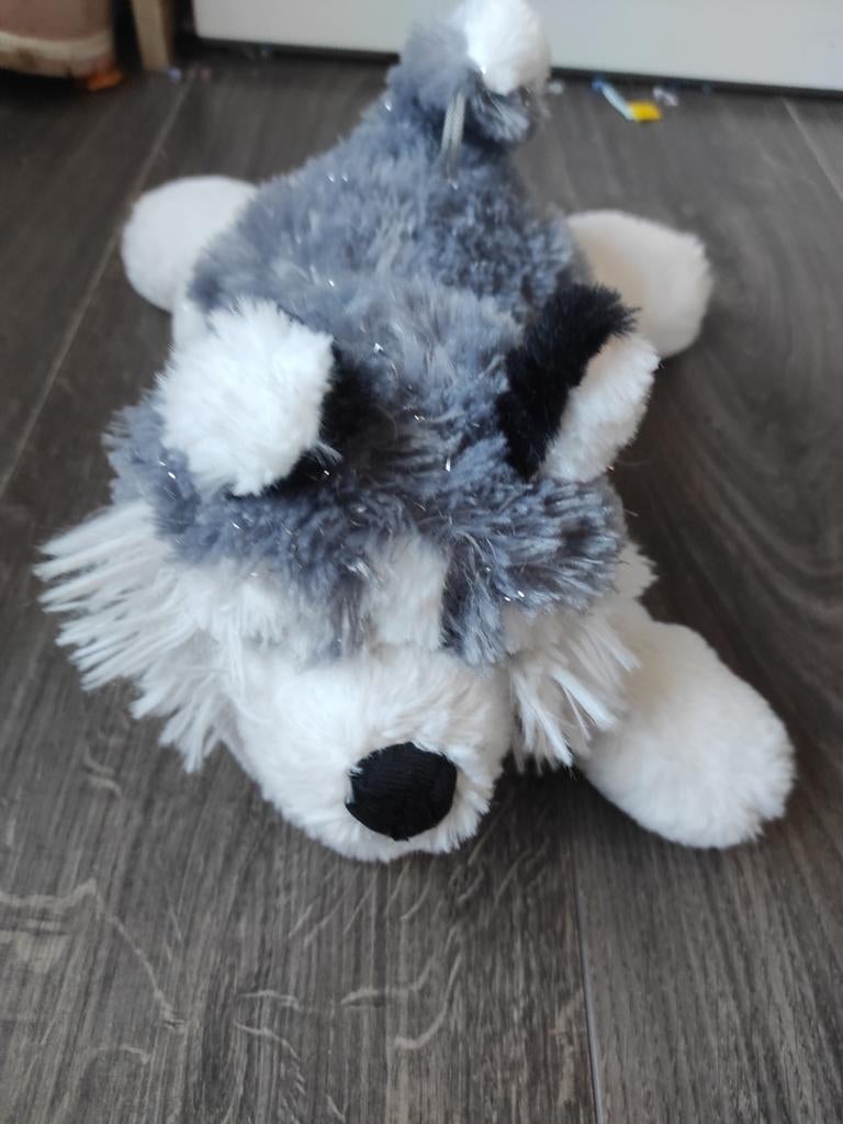 Knuffel husky hond, Ophalen, Overige merken, Overige karakters, Grijs