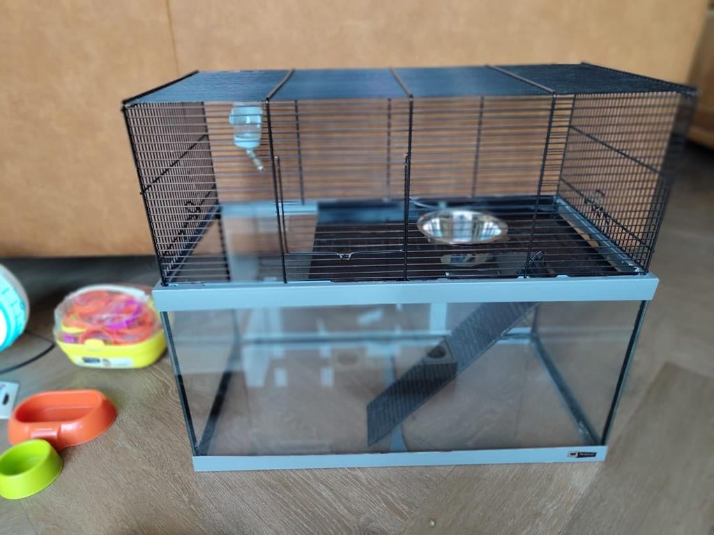Hamsterkooi met attributen, Kooi, Minder dan 75 cm, Zo goed als nieuw, Hamster