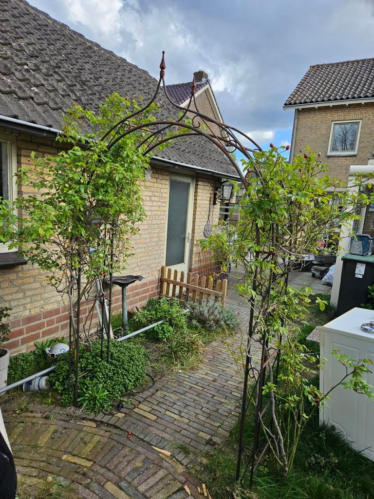 Boog, Ophalen, Volle zon, Overige soorten