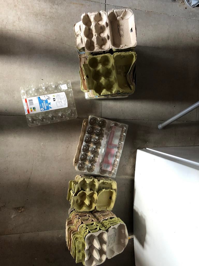 Eierdozen, Dieren en Toebehoren, Pluimvee | Toebehoren, Ophalen of Verzenden, Gebruikt, Overige typen