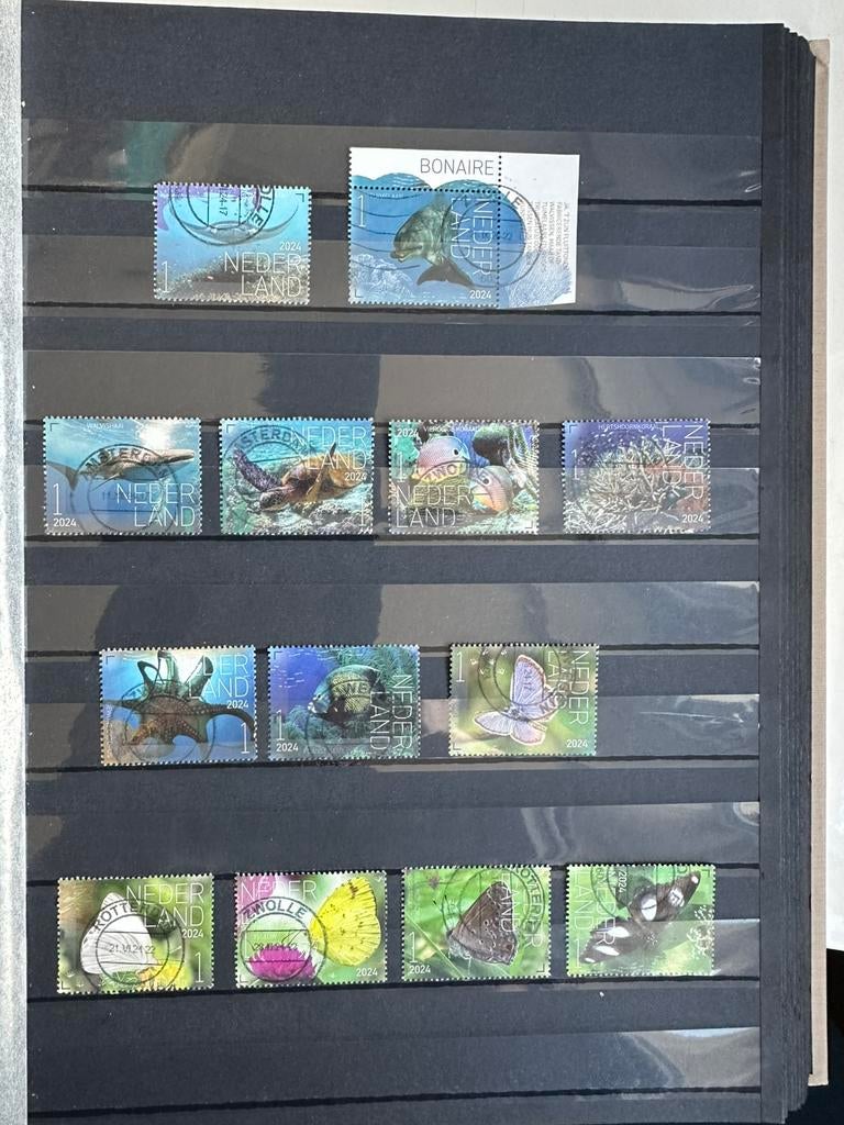 Nederland 13, Verzenden