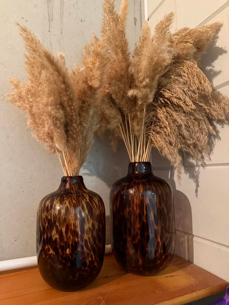 Twee vazen met pluimen / droogbloemen, Ophalen, Zo goed als nieuw