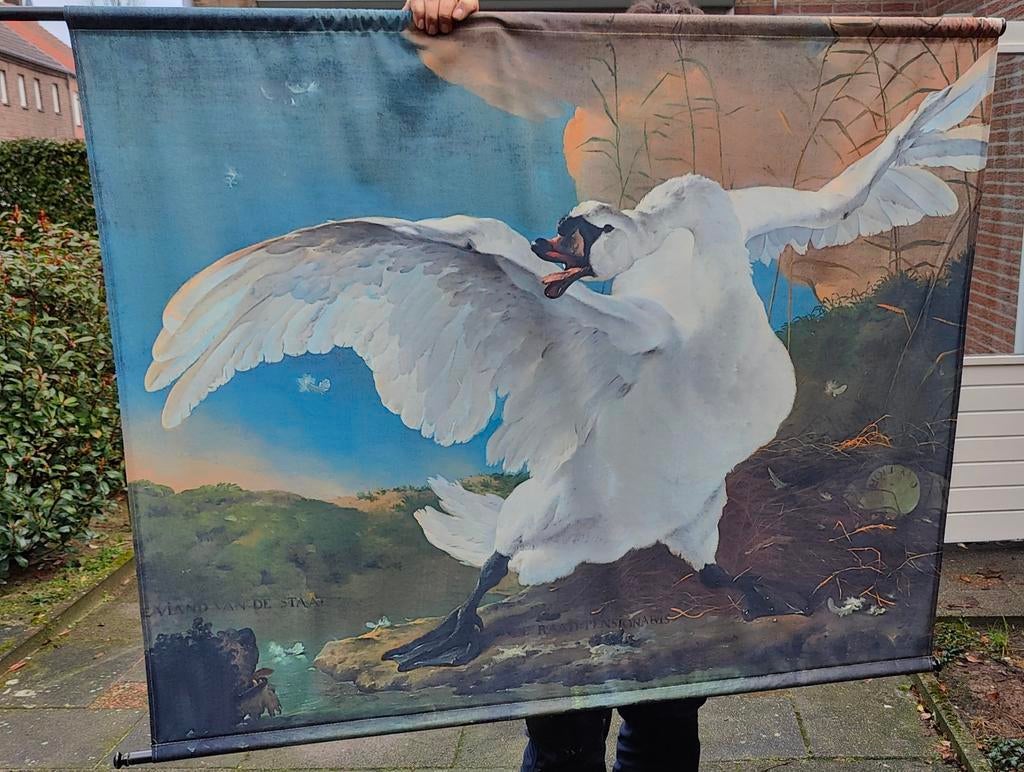 De bedreigde zwaan wandkleed, Ophalen