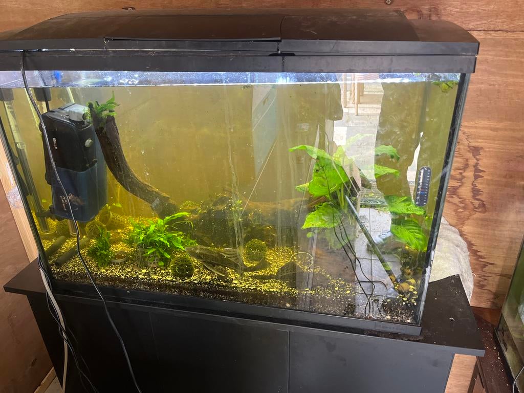 Gratis Aquarium, Hobby en Vrije tijd, Overige Hobby en Vrije tijd, Ophalen, Gebruikt