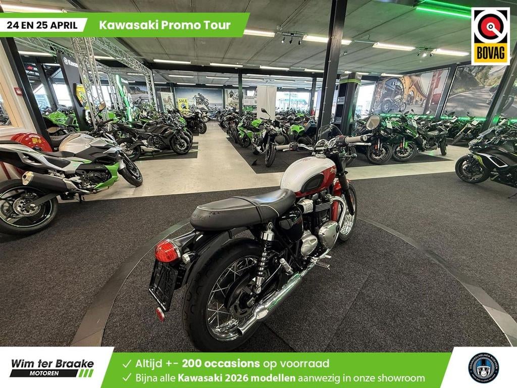 Triumph Bonneville T 100 Bud Ekins SE - 2020 - foto 3