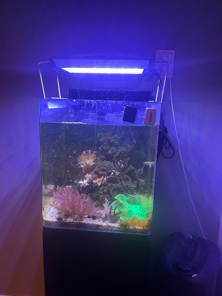 Zoutwater aquarium, Dieren en Toebehoren, Ophalen, Gevuld zeewateraquarium