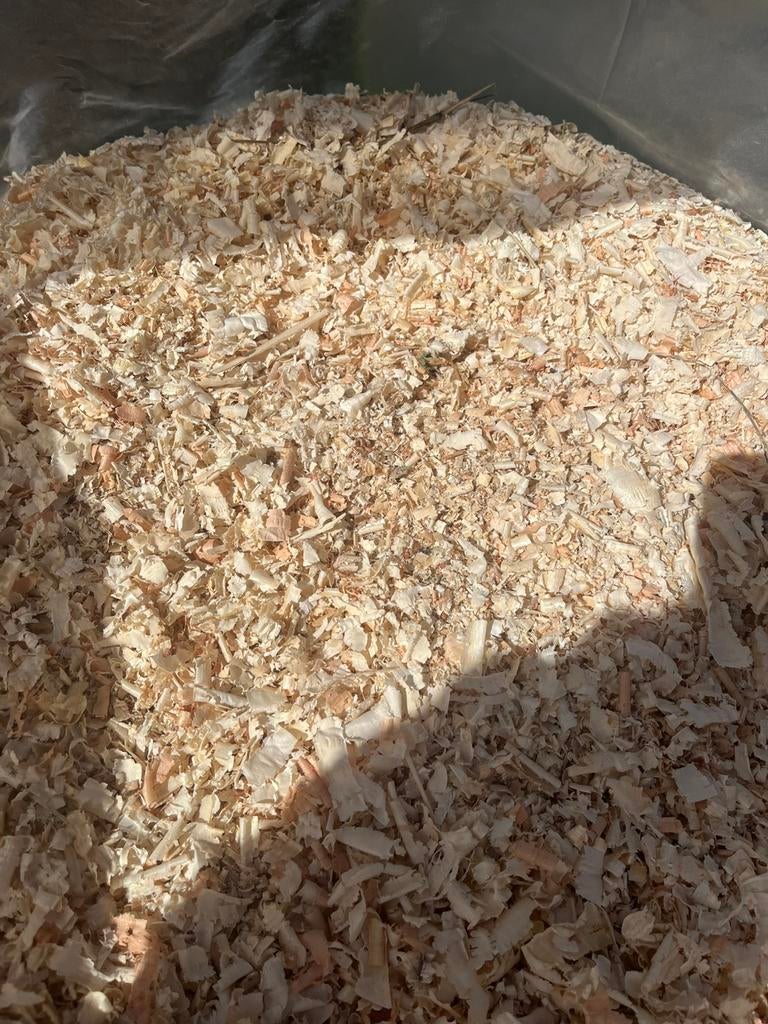 Zaagsel. 2,5 mega grote zakken zaagsel., Ophalen, Overige typen, Zo goed als nieuw, Overige houtsoorten