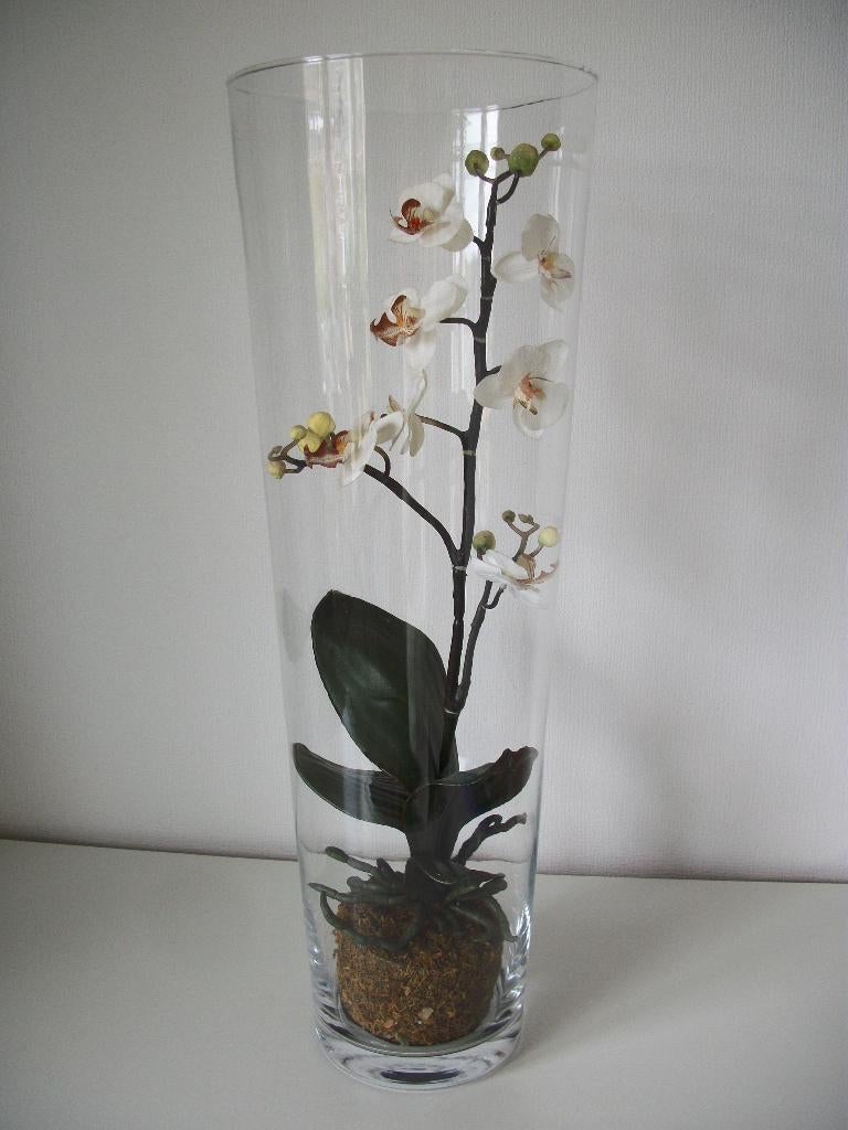 Hoge Glazen Vaas met Kunst Orchidee Wit - 50 cm hoog - zgan, Huis en Inrichting, Woonaccessoires | Kunstplanten en Kunstbloemen
