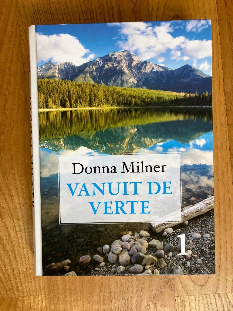 Boek Vanuit de verte - Donna Milner Grote Letter bibliotheek, Ophalen of Verzenden, Zo goed als nieuw, Nederland