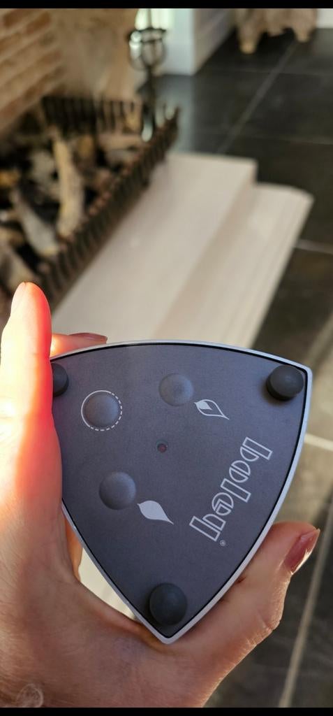 Afstandsbediening voor Boley gashaard, Ophalen of Verzenden, Gebruikt