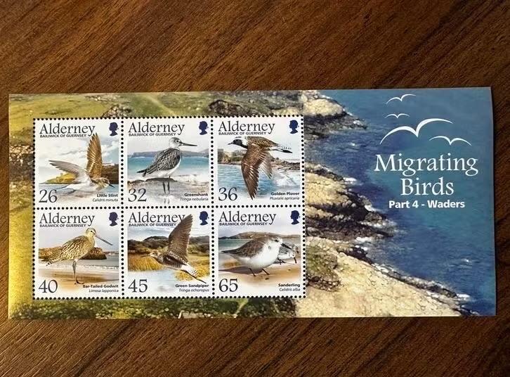 Alderney 2005 vogels postfris, Ophalen of Verzenden, Postfris