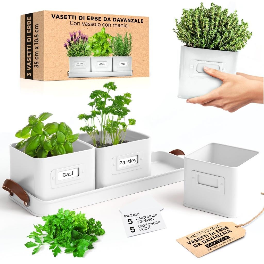 KRUIDENPOTJES-SETS GREEN THUMBZ WIT VAN 24.95 VOOR 9.95 P/ST, ., Nieuw, Ophalen of Verzenden, .