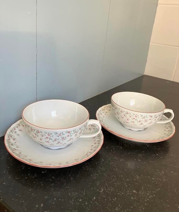 Seltmann Weiden Bavaria Regina kop en schotels (2 stuks), Ophalen of Verzenden, Zo goed als nieuw, Overige stijlen, Kop(pen) en/of Schotel(s)