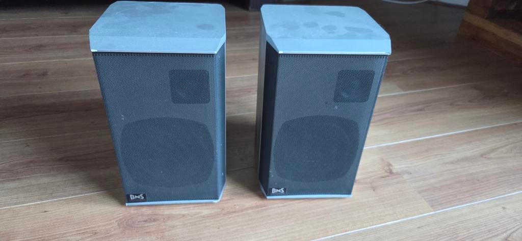 2 BNS Intelligent Monitor Speakers - 100W, Overige merken, Gebruikt, Ophalen of Verzenden, 60 tot 120 watt