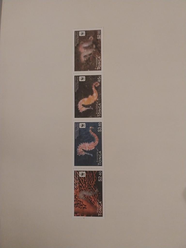 Wwf Tonga 1768-1771 zeepaardje 2012 postfris mi 8.50 eu, Ophalen of Verzenden, Dier of Natuur