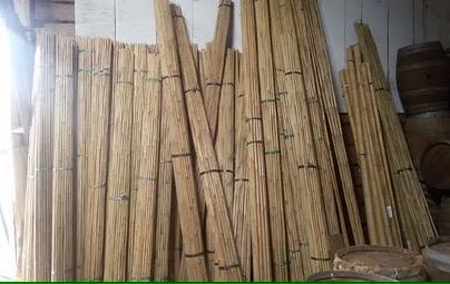 Bonenstokken bamboestokken tonkin plantensteun moestuin, Ophalen of Verzenden, Nieuw, Palen