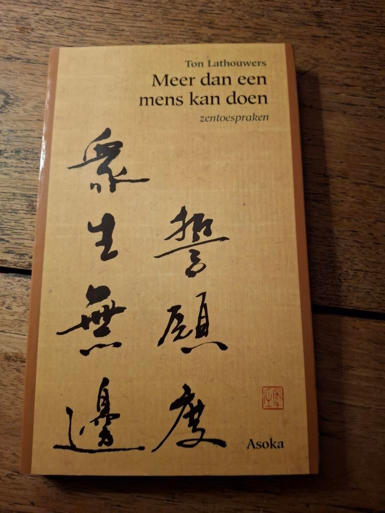 T. Lathouwers - Meer dan een mens kan doen, Ophalen of Verzenden, Zo goed als nieuw, T. Lathouwers