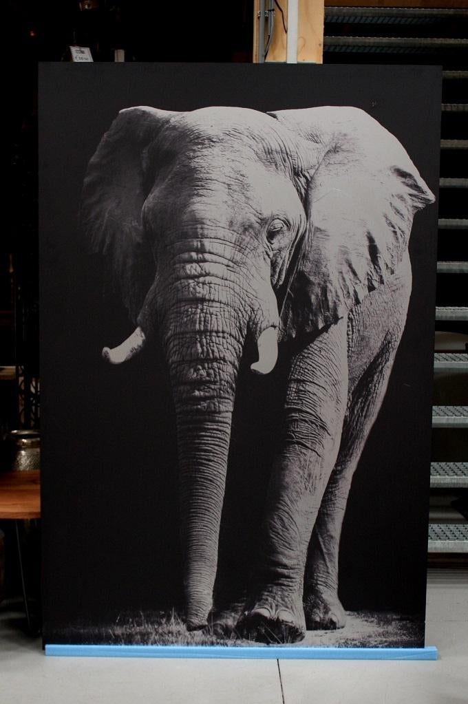 GROOT aluminium schilderij Single Power olifant 120 x 180 cm, Huis en Inrichting, Woonaccessoires | Schilderijen, Tekeningen en Foto's