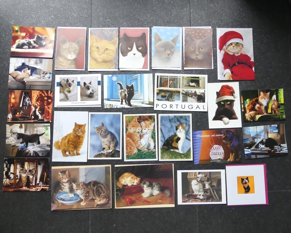 Kattenkaarten verzameling ansichtkaarten kat poes, Ophalen of Verzenden, 1980 tot heden, Ongelopen, Hond of Kat