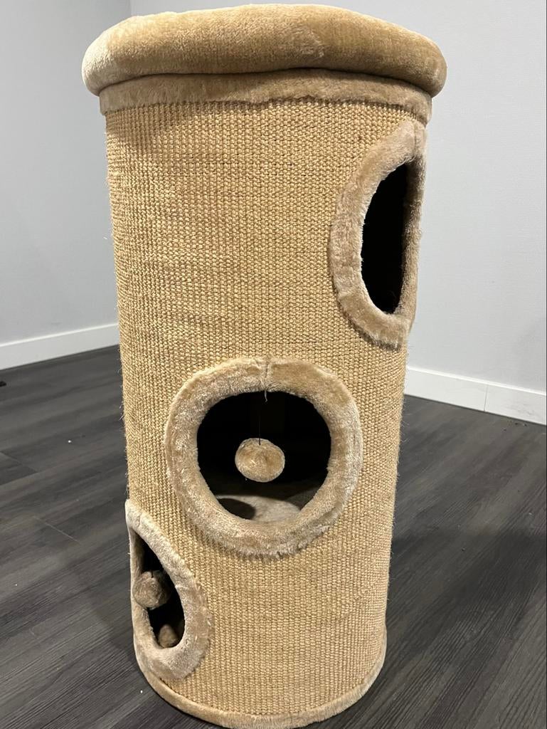 Half jaar oude krabton, Dieren en Toebehoren, Ophalen, Krabton