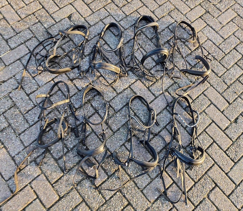 8 hoofdstellen – diverse merken – gebruikt maar netjes, Ophalen of Verzenden, Dressuur