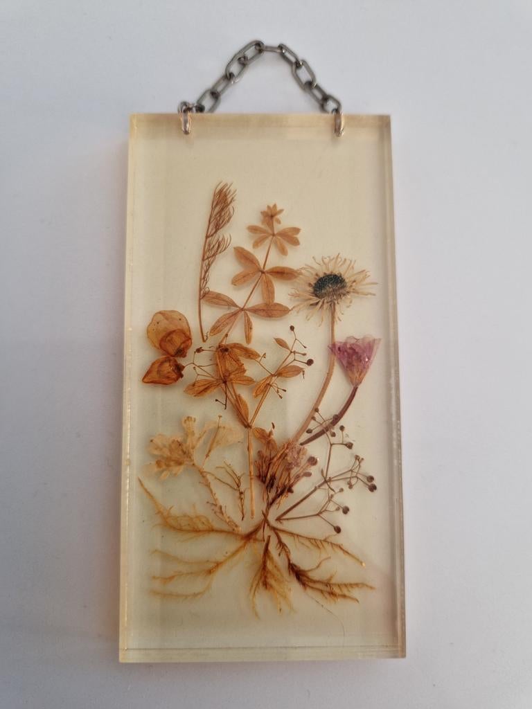 Mooi vintage hanger plexiglas met gedroogde bloemen., Verzamelen, Retro, Ophalen of Verzenden, Huis en Inrichting