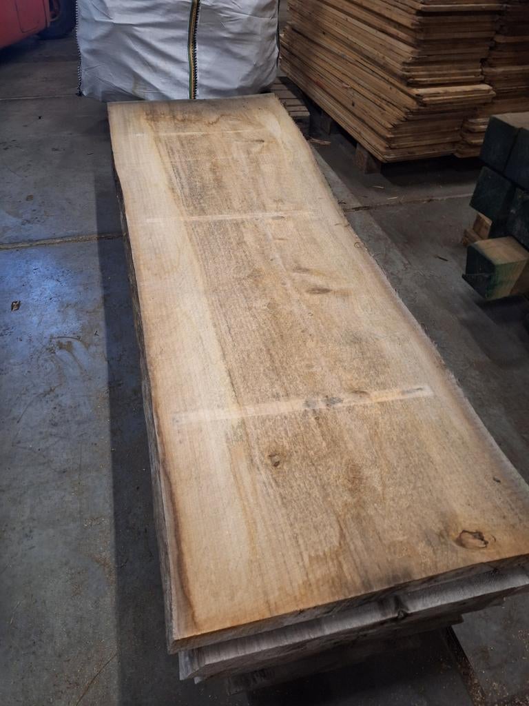 Droge schaaldelen  boomstamplanken eiken populieren  enz, Ophalen, Nieuw, Hardhout, 250 cm of meer