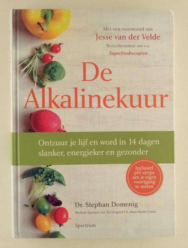 Domenig, Stephan - De Alkalinekuur / Ontzuur je lijf en word, Boeken, Verzenden, Gelezen