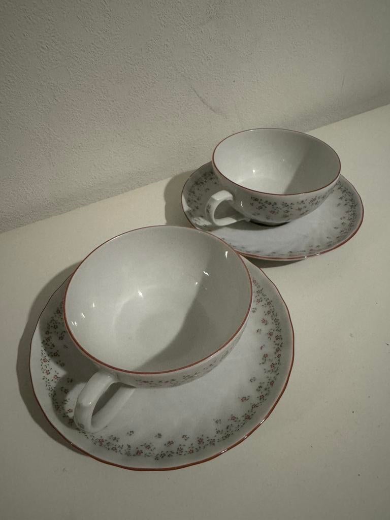 Schattige Kop & Schotel set van 2 - Seltmann Weiden Regina, Ophalen of Verzenden