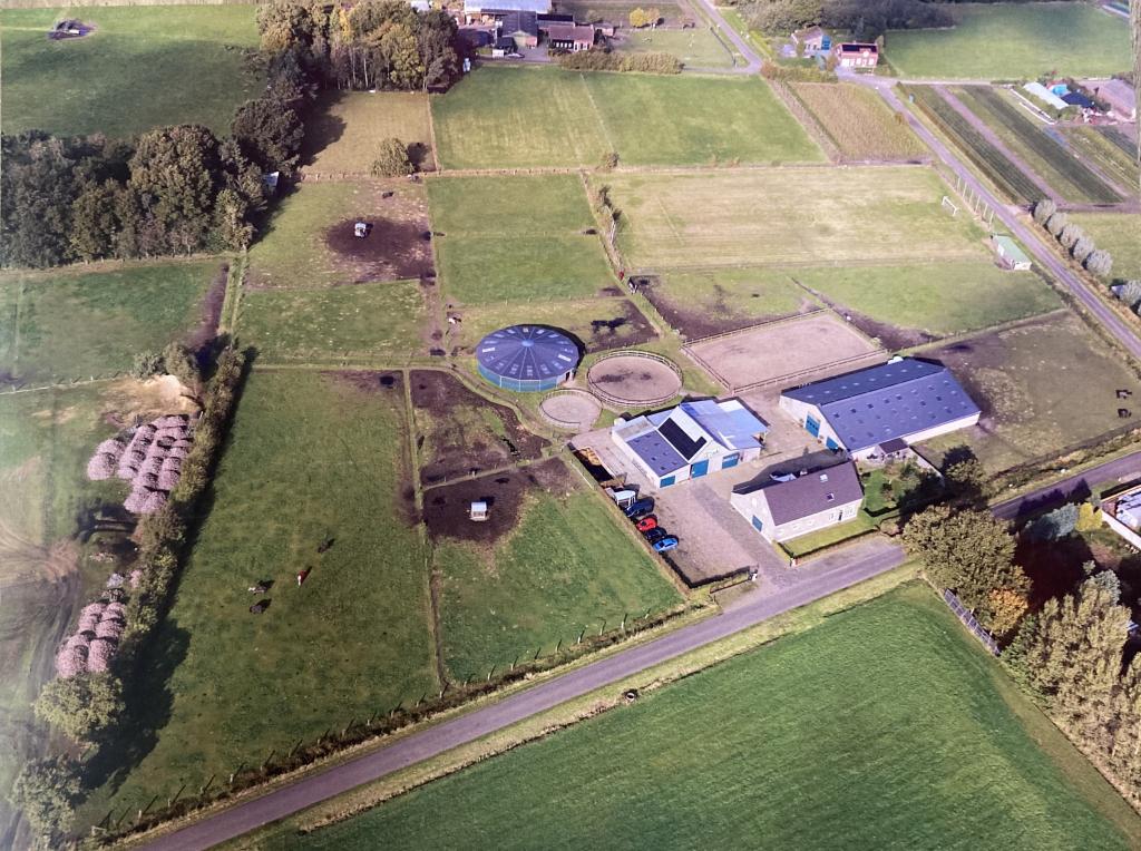 Vakantie met je paard. paard en bed, Niet ingevuld, Niet ingevuld, Niet ingevuld, Weidegang