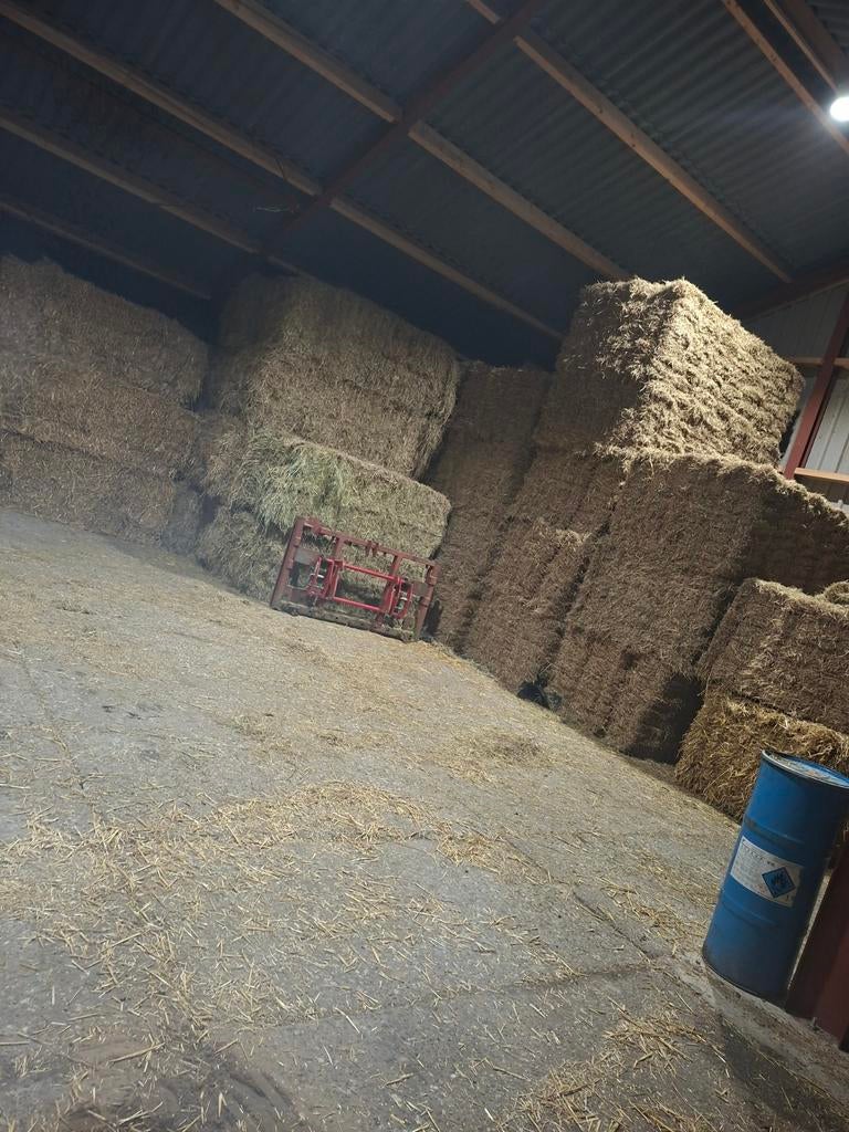 Kleine balen hooi hooipakken, Ophalen of Verzenden, Nieuw, Minder dan 180 cm, Palen