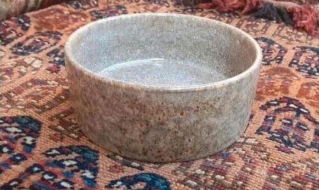 Trixie Keramieken Voerbak 20 cm. Diameter, Ophalen of Verzenden, Nieuw