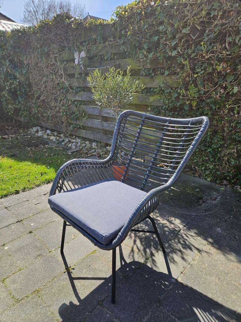 Loungestoel Wicker Zwart, Tuin en Terras, Ophalen, Wicker