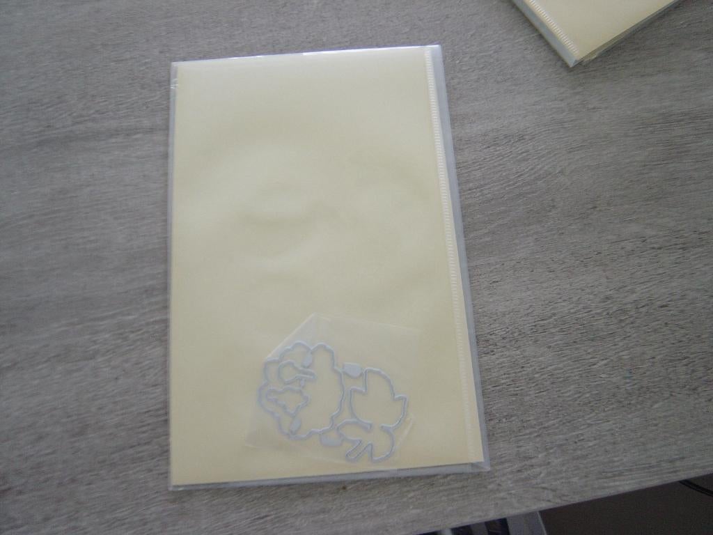 Siliconen Stempels div met of zonder stanzen, Ophalen of Verzenden, Zo goed als nieuw, Clearstamp