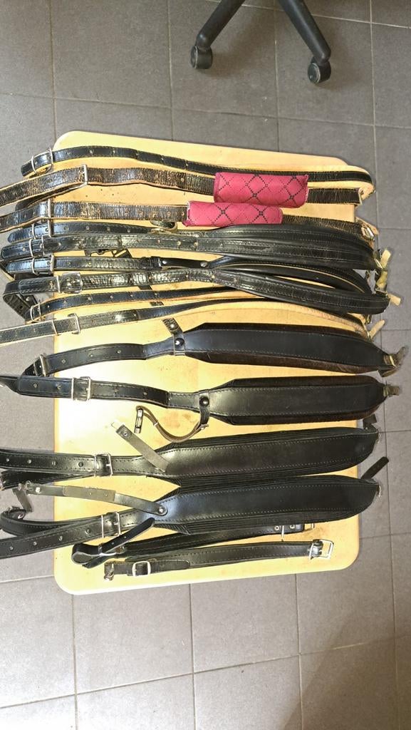 T.k. 6x set accordeon riemen, Ophalen