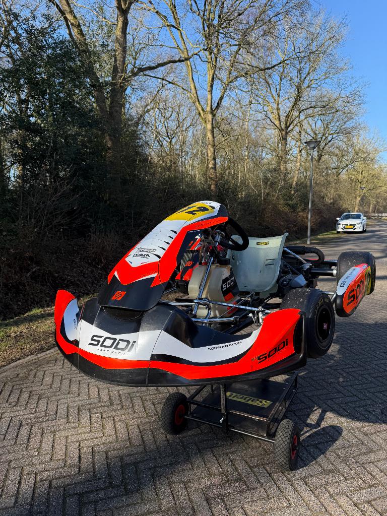 SODI kart met ROTAX motor, Ophalen of Verzenden, Gebruikt, Kart