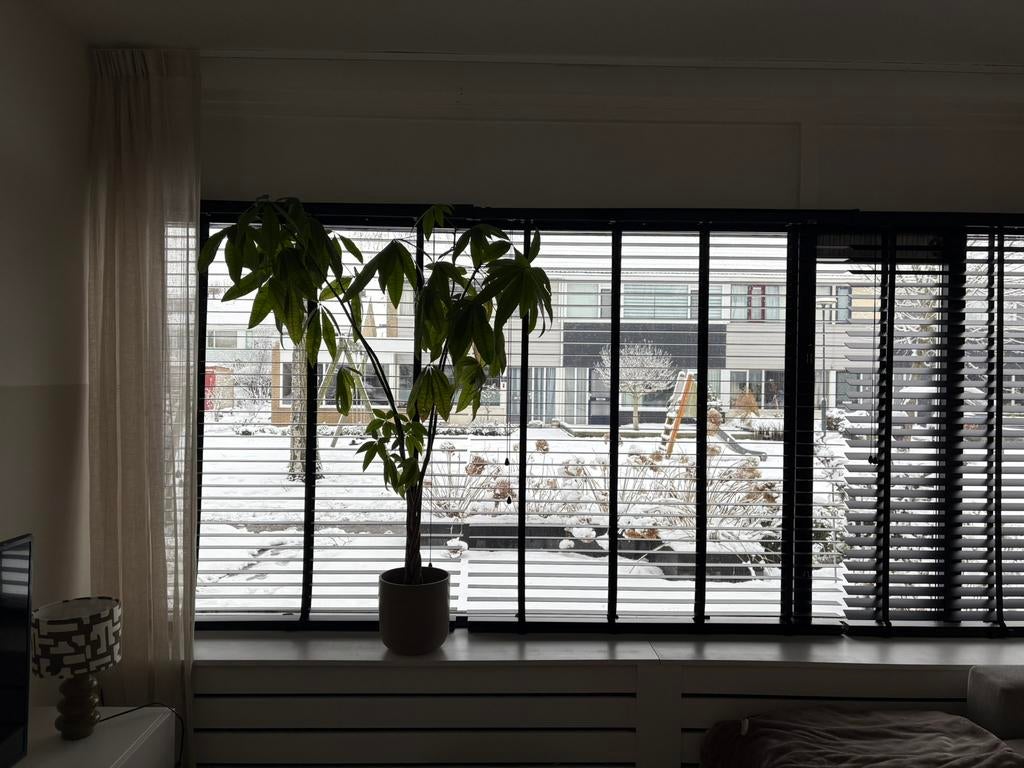 3x zwarte jaloeziëen, Ophalen, Gebruikt, 100 tot 150 cm