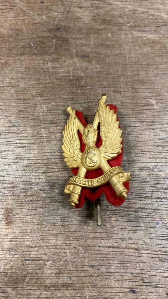 Deens baret embleem luchtverdediging, Verzamelen, G, G, Ophalen of Verzenden, Embleem of Badge