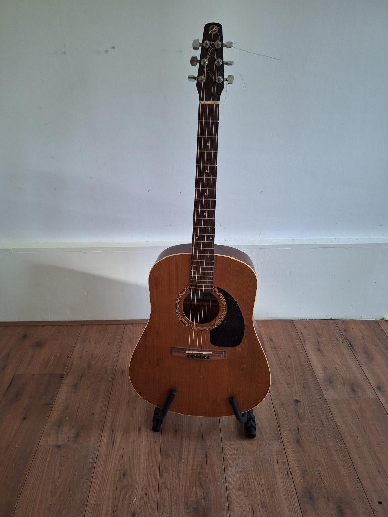Seagull S6+ Cedar Akoestisch, Muziek en Instrumenten, Snaarinstrumenten | Gitaren | Akoestisch, Ophalen of Verzenden, Gebruikt