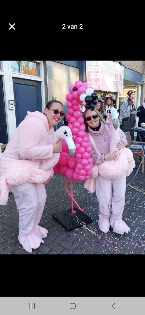 Carnavalskleding: 2x Flamingo & 1x Zeepaardje, Ophalen of Verzenden, Gebruikt, Carnaval