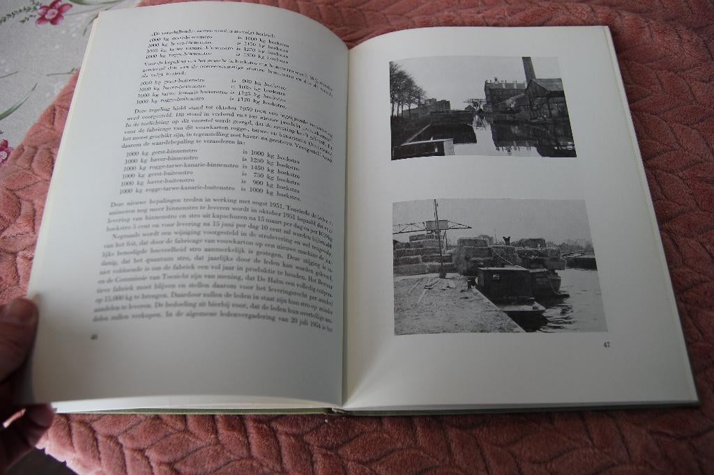 De halm 1913-1963 Gesch. vd stroocartonfabriek Hoogkerk, Boeken, Geschiedenis | Stad en Regio, Gelezen, Ophalen of Verzenden