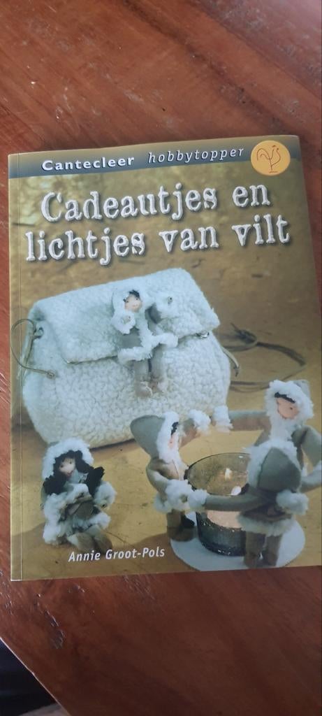 Cadeautjes en lichtjes van vilt - Hobbyboek, Ophalen of Verzenden, Zo goed als nieuw, Annie Groot-Pols, Overige onderwerpen